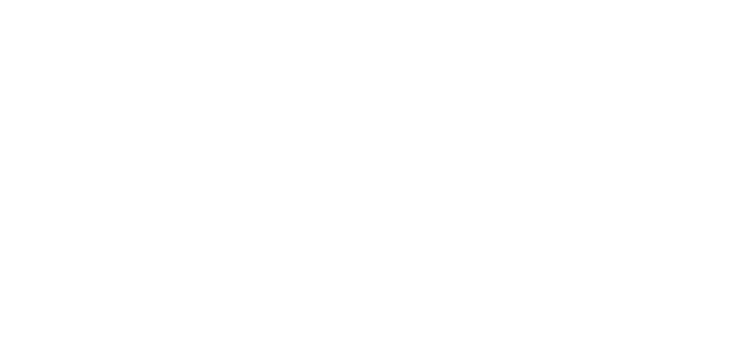 BertiniCalzature